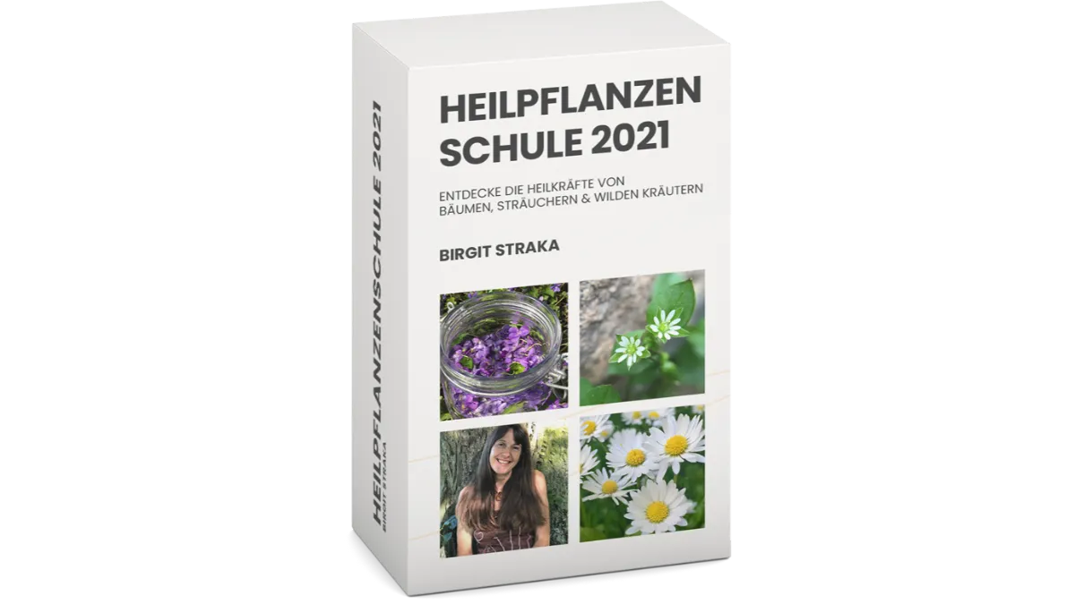 Online Heilpflanzenschule 2021 Mit Birgit Straka Alle Infos Ansehen