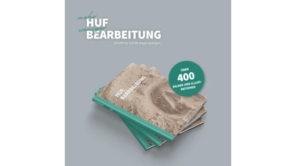 mehr HUF weniger BEARBEITUNG das Buch