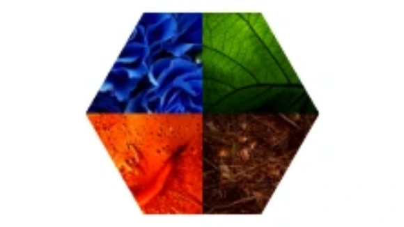 ELifestore24 Business Programm