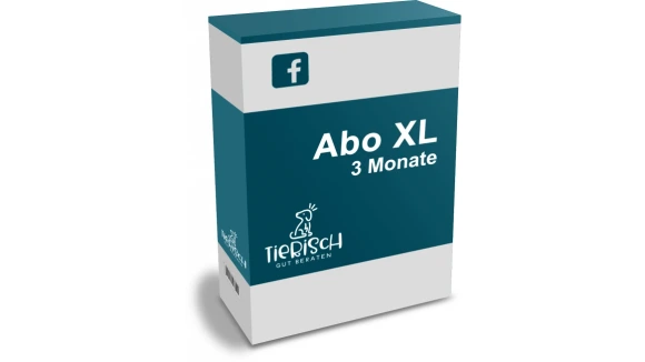 Abo XL 3 Monate