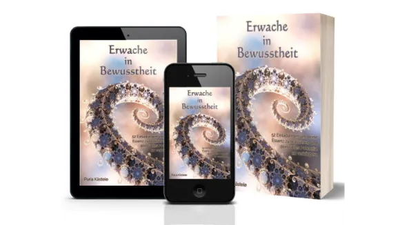Erwache in Bewusstheit ebook