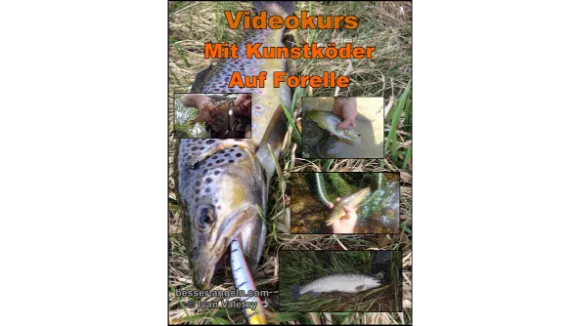 Mit Kunstköder auf Forelle
