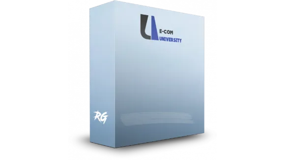 Ecom University Mentoring