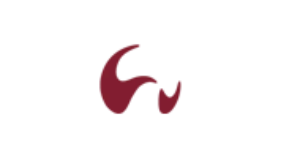 Online Programm Live Seminar flowlife ACADEMY