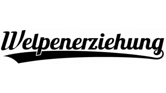 Online Welpenerziehung