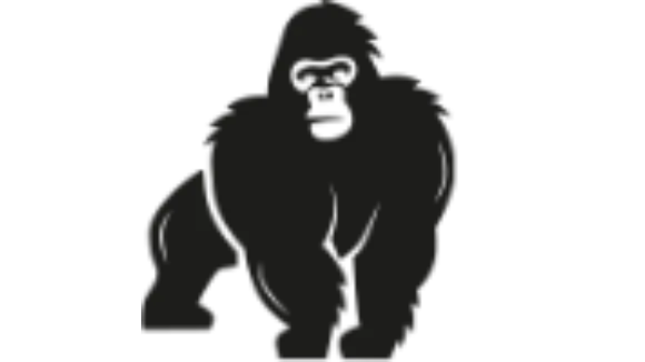 Gorilla Enterprise halbes Jahr Lizenz eSaver