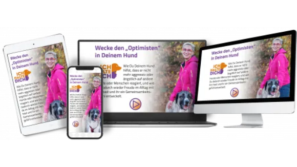 Wecke den Optimisten in Deinem Hund
