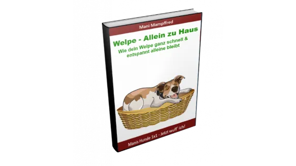 Mani Welpe Allein zu Haus eBook Anleitung