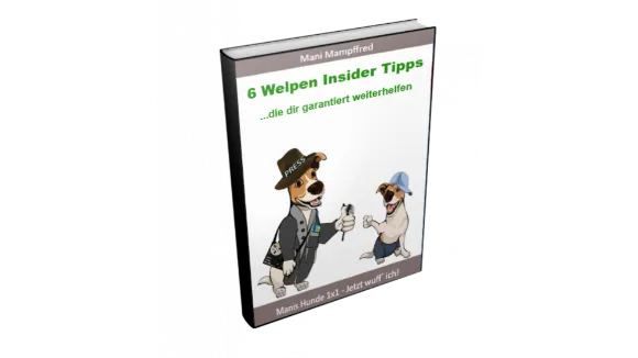 Mani 6 Insider Tipps eBook Anleitung