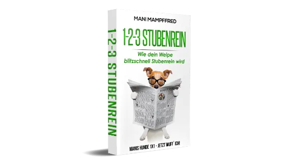 Mani 123 Stubenrein eBook