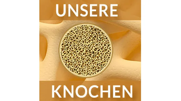 Helmuth Matzner OnlineVortrag 42  Unsere Knochen