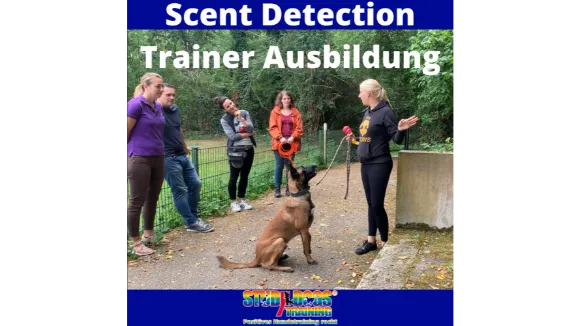 Scent Detection Trainer Ausbildung by Studydogs