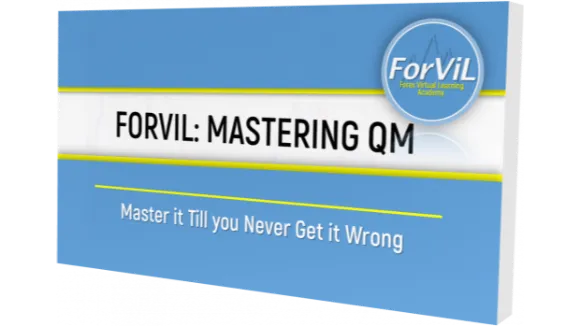 ForViL Supply and Demand Course