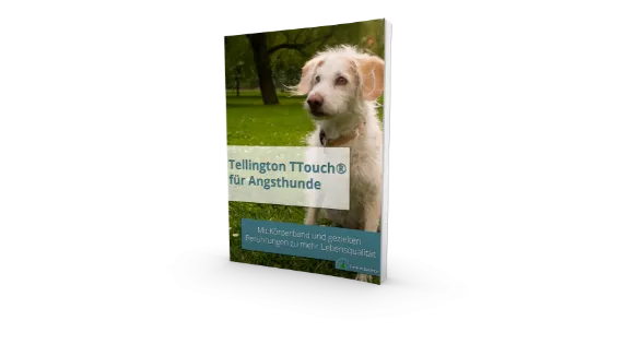 Tellington TTouch für Angsthunde