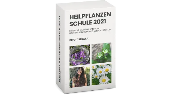 Online Heilpflanzenschule 2021 mit Birgit Straka
