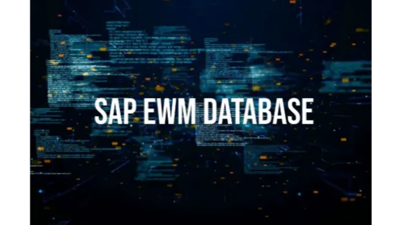 SAP Extended Warehouse Management Database Training