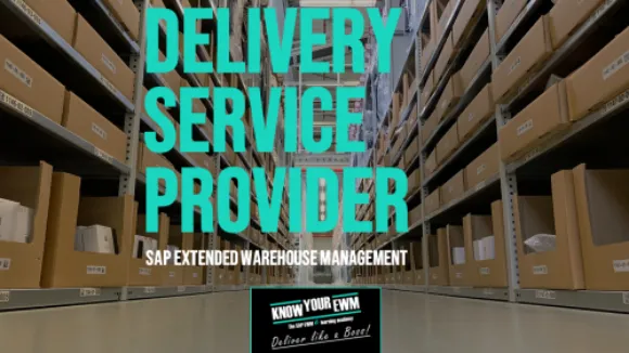 SAP EWM  Delivery Service Provider