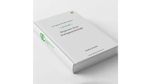 Lernheft BeginnerKurs Energiewirtschaft PrintBuch