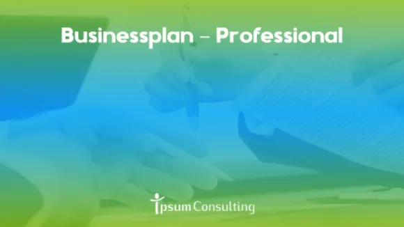 Businessplan  Professional KMU