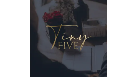 Tiny Five Workshop