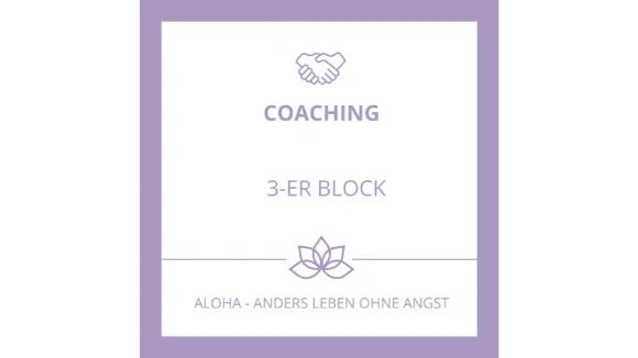 3er Block Coachings