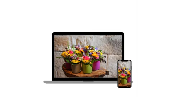 1×1 Floristik Querbeet für Blumenfans