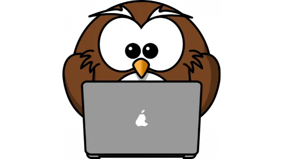 12 Monate Website Betreuung und Hosting