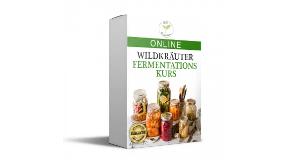 WildkräuterFermentationsKurs
