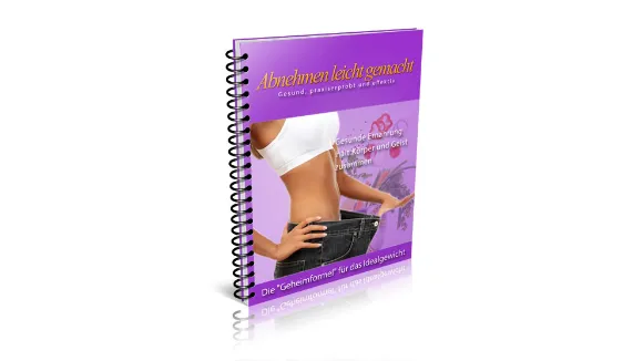 PLR Ebook Mini