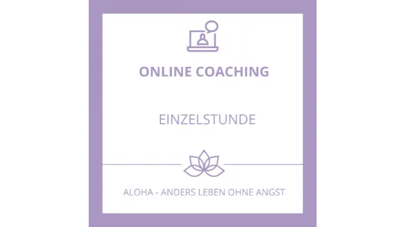 Einzelstunde Online