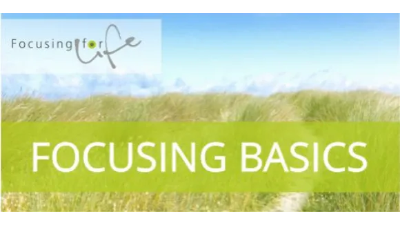 Dein Online Kurs FOCUSING BASICS