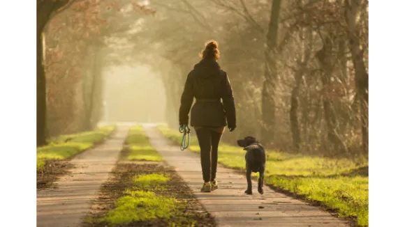 entspannter Alltag Online Club Gold