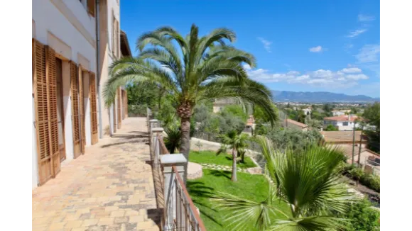 Basic MALLORCA Online Mentoring von Paul Misar
