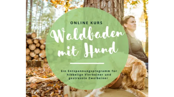 Waldbaden mit Hund Onlinekurs Start 1321