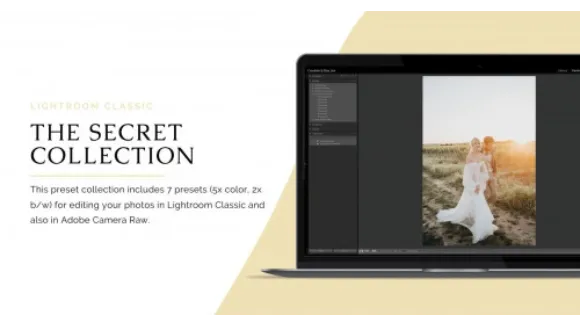 Two Secret Vows  The Secret Collection Classic