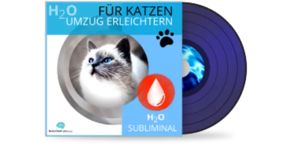 H2O  Katzen  Umzug erleichtern Album