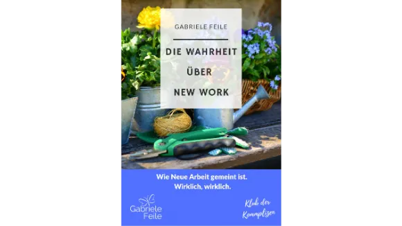 Essay Die Wahrheit über New Work von Gabriele Feile