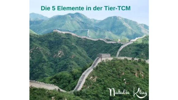 Die 5 Elemente in der TierTCM