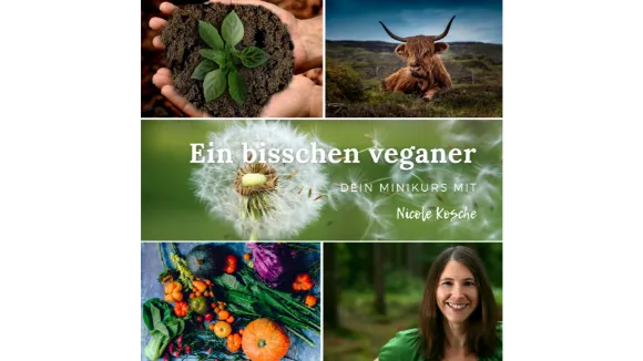 Ein bisschen veganerEntspannt erste Schritte gehen