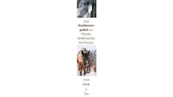 Konferenzpaket zur Weihnachts Pferde Konferenz
