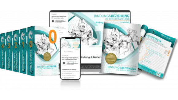 Bindung und Beziehung Die unsichtbare Leine App