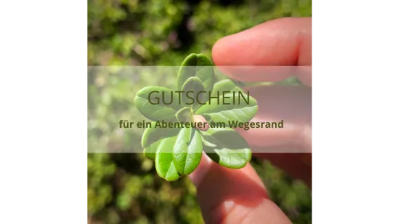 Gutschein für ein Abenteuer am Wegesrand