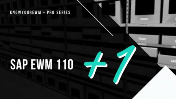 SAP EWM Basic Customizing