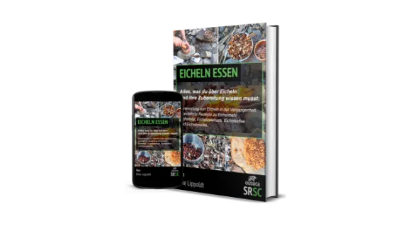 Eicheln essen Traditionelle Verarbeitung und Rezepte