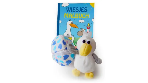 Wiesje plötzlich Möwenmutter das AKTIONSPAKET zum Buch