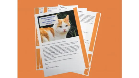 Social Media Kalender für Tierisch Selbstständige KATZEN