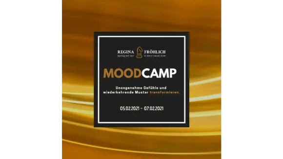 Mood Camp Best Price