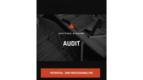 Potential und Prozessanalyse Audit