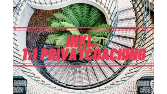 Your life  your vision Onlinekurs inkl 1h Privatcoaching