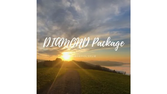 Life Coaching  DIAMOND Package